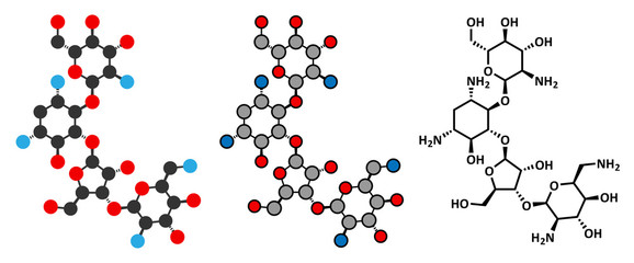 Canvas Print - Paromomycin aminoglycoside antibiotic drug molecule.