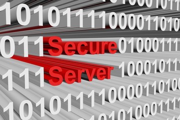 Wall Mural - secure server is presented in the form of binary code