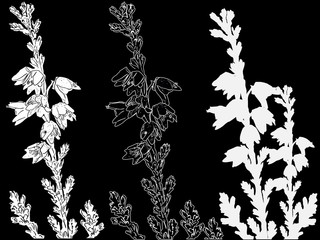 Wall Mural - three heather branches sketches isolated on black