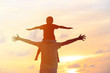 © nadezhda1906 - father and son play on sunset sky