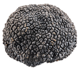 Sticker - Black truffle. File contains clipping paths.