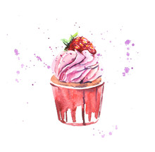 Set Cupcakes. Watercolor Hand Drawn Illustration.
