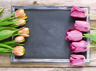 Wall Mural - Blackboard with tulips