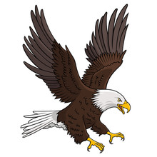 Eagle 005