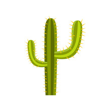Cactus Icon, Flat Style