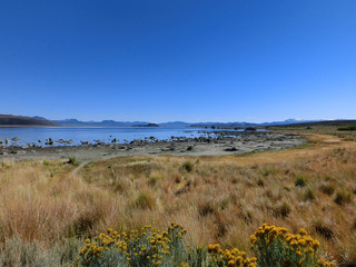 scenic northern california lake with prairie grass - landscape color photo