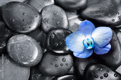 Nowoczesny obraz na płótnie Spa concept. Stones and Orchid flower.