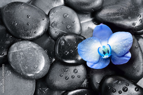 Fototapeta na wymiar Spa concept. Stones and Orchid flower.