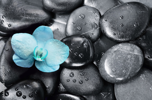 Fototapeta na wymiar Spa concept. Stones and Orchid flower.
