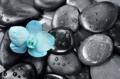 Naklejka na drzwi Spa concept. Stones and Orchid flower.