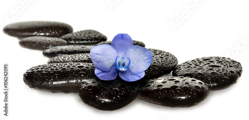 Fototapeta na wymiar Spa concept. Stones and Orchid flower.