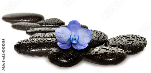 Fototapeta do kuchni Spa concept. Stones and Orchid flower.