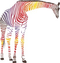 Abstract Giraffe With Zebra Skin