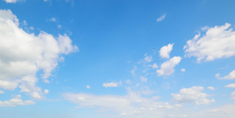 Wall Mural - blue sky and white clouds