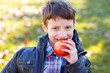 © sakkmesterke - Little schoolboy bite apple