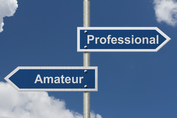 Wall Mural - Difference between being a professional or an amateur