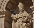 Paloma en una estatua de un obispo en  la fachada de la catedral de Astorga,León,España