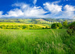 Summer landscape with green grass and clouds.