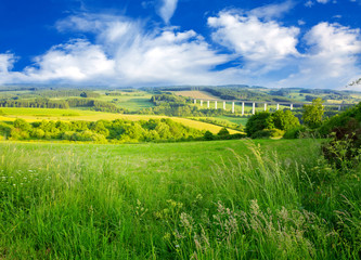 Wall Mural - Summer landscape with green grass and clouds.