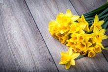 Bunch Of Yellow Daffodils With Blossom