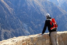 Condors Au Canyon De Colca Au Pérou
