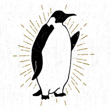 Hand Drawn Textured Icon With Emperor Penguin Vector Illustration