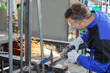 © auremar - busy welders