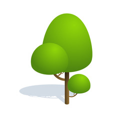 Wall Mural - Isometric tree  on white background.  Vector illustration Isometric tree with shadow. Isometric tree vector icon illustration.