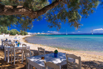 Wall Mural - Cute little tavern in the olive shade on Paros island, cycladic paradise resort, Cyclades, Greece