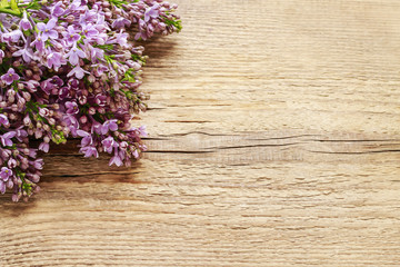 Wall Mural - Lilac on wooden background