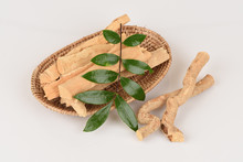 Tongkat Ali (Eurycoma Longifolia Jack) Medicinal Herbs Thailand.
