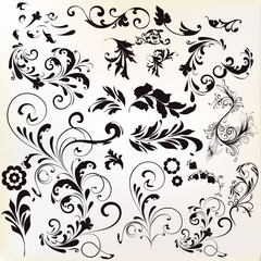 Wall Mural - vector set of calligraphic elements for design. calligraphic vec