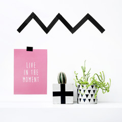 Wall Mural - Scandinavian interior design. Hipster motivational quote with cactus. 