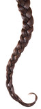 Women braid isolated
