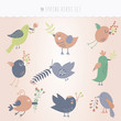 Set of nine spring cute birds
