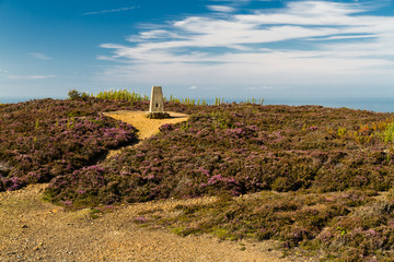 Wall Mural - Trig point, Parys Mountain.