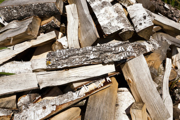 firewood in nature  