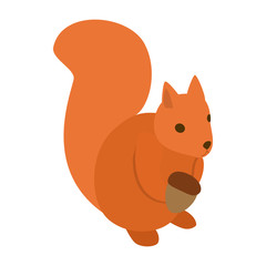 Wall Mural - Squirrel icon, isometric 3d style 