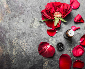 Wall Mural - Red roses flowers and petals and bottle of essential oil on gray vintage background, top view, place for text