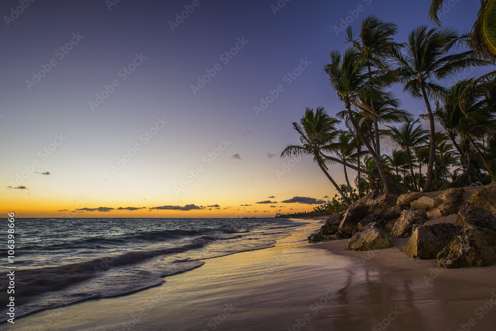 Caribbean wild beach, Punta Cana - obrazy, fototapety, plakaty 