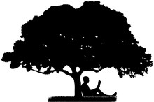 The Man Who Is Sitting Under A Tree And Reading A Book