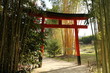 Bambusgarten, Garten, Park, asiatisch, Ruhe