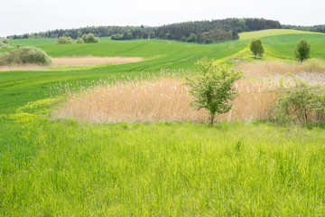 Wall Mural - Ökologischer Landbau