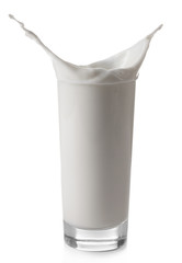 Poster - Splash of milk in glass, isolated on white
