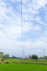 Wall Mural - High voltage pole