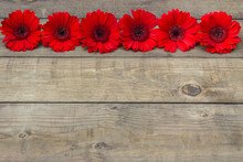 Red Gerbera Flowers On Wooden Background