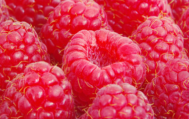 Canvas Print -  raspberries