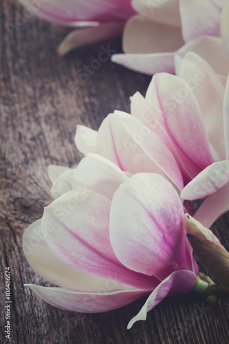 Fototapeta dla dzieci magnolia flowers with pearls on wooden table