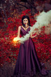 © kharchenkoirina - Lady in a luxury lush purple dress swirls in the smoke,fantastic shot,fairytale princess is walking in the autumn forest,fashionable toning,creative computer colors