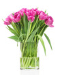 Spring tulips in the vase on white background